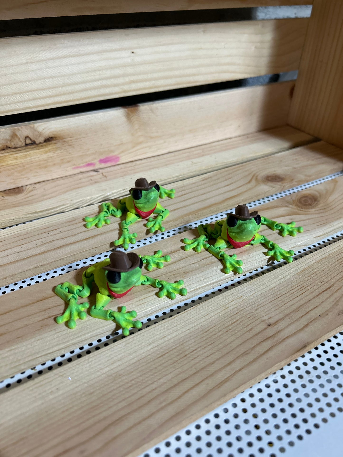 Cowboy Frog